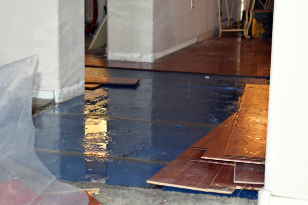 Professional Burst Pipe Water Damage technician working in Eastland, TX
